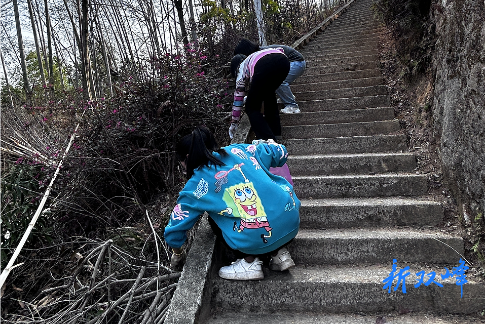 沙塘乡开展学雷锋志愿服务活动