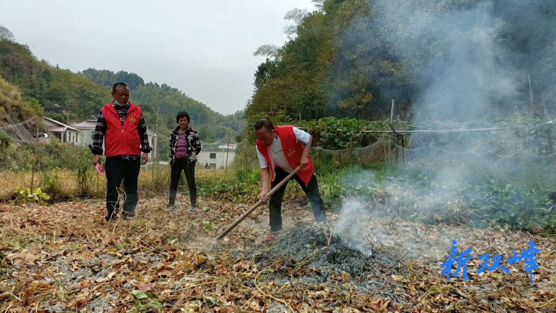 杏子铺镇：严守森林防灭火安全关