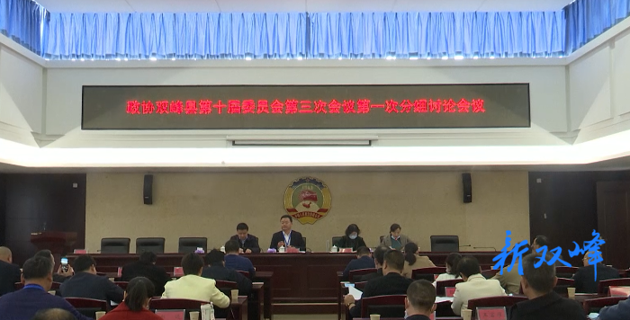 政协双峰县十届三次会议举行分组讨论
