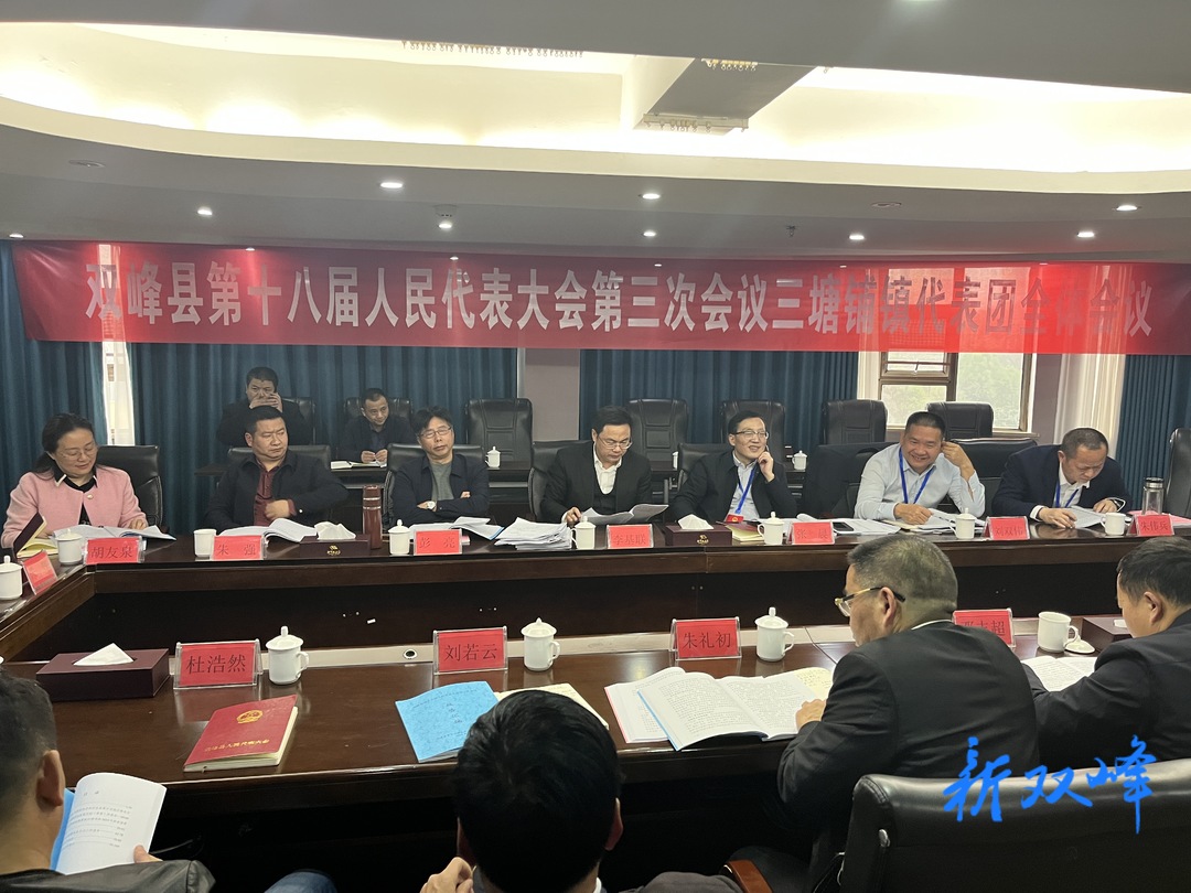 人大代表分组讨论审议政府工作报告、计划和财政工作报告
