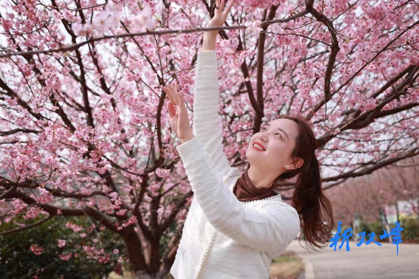 杏子铺镇  伴暖阳踏春 享悠然时光