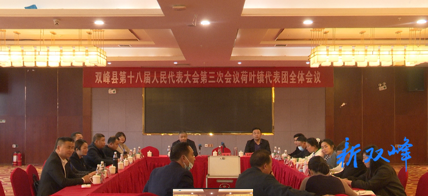 人大代表分组审议县人大常委会及“两院”工作报告