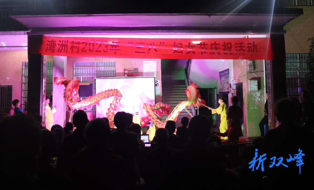 湾洲村举办“三八”妇女节表彰庆祝文艺晚会
