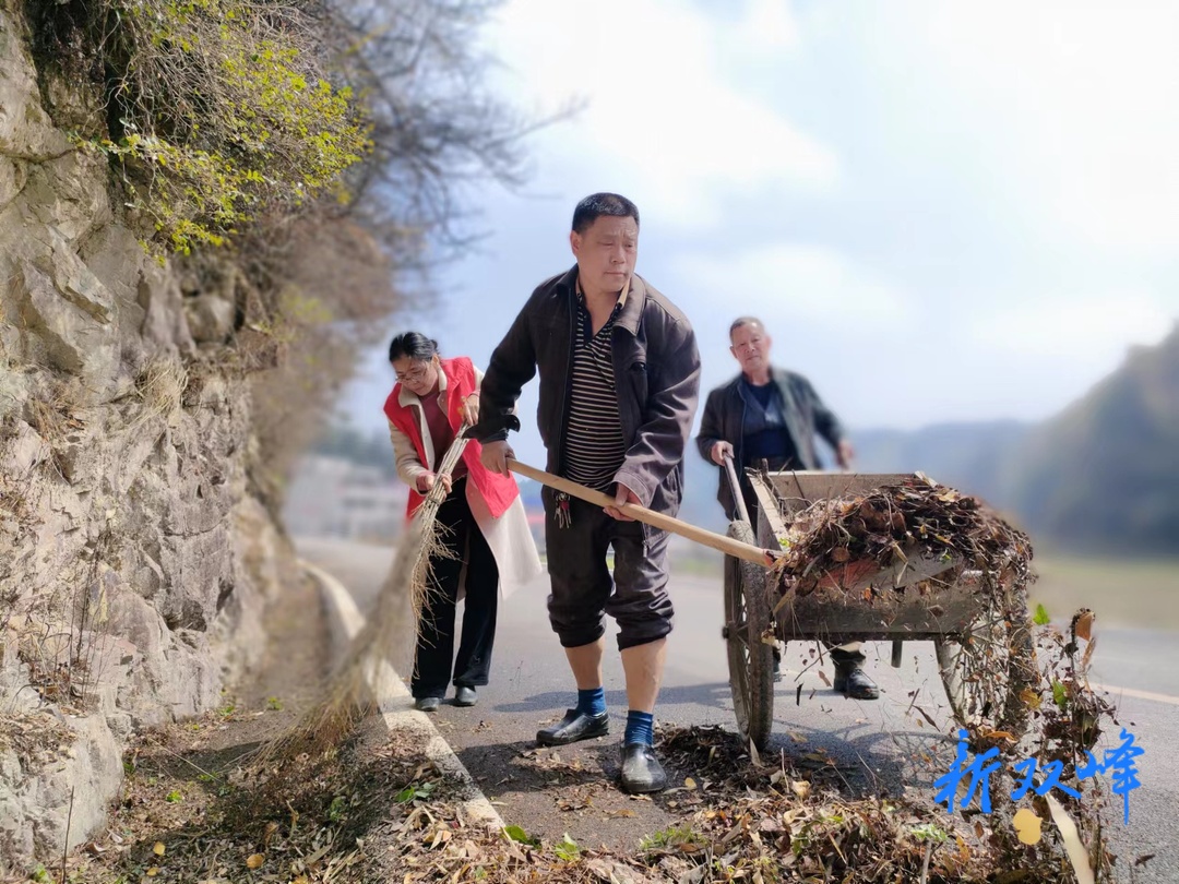 杏子铺镇合心村：多举措打造环境卫生明星村