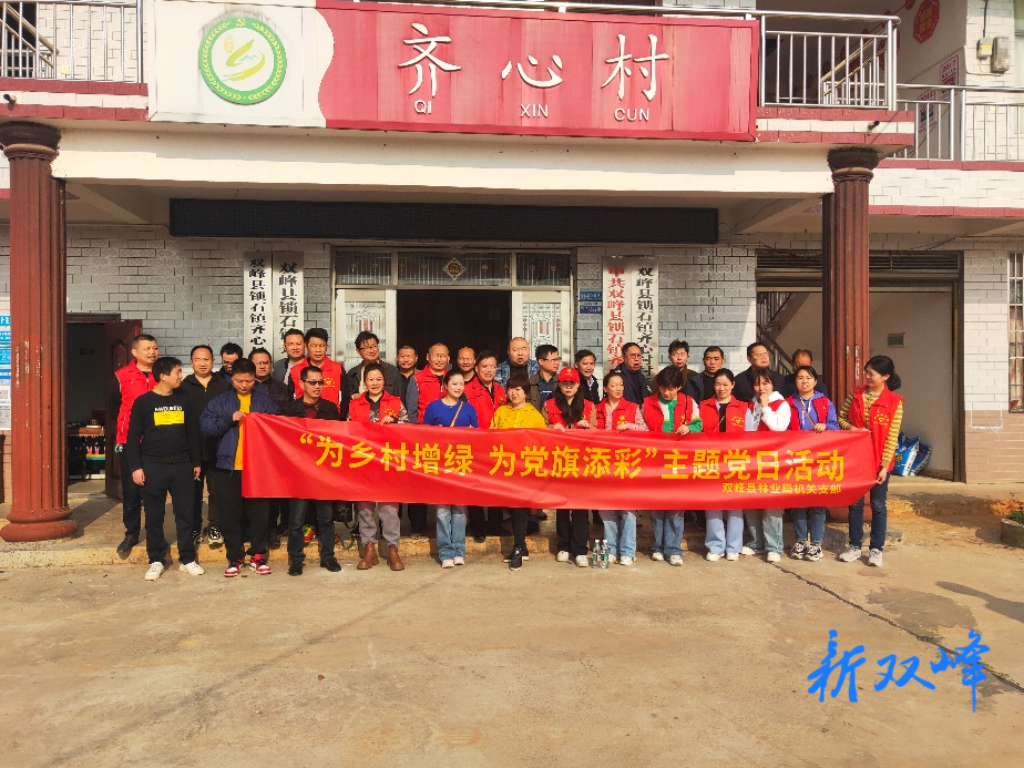 双峰县林业局开展“为乡村增绿，为党旗添彩”主题党日活动