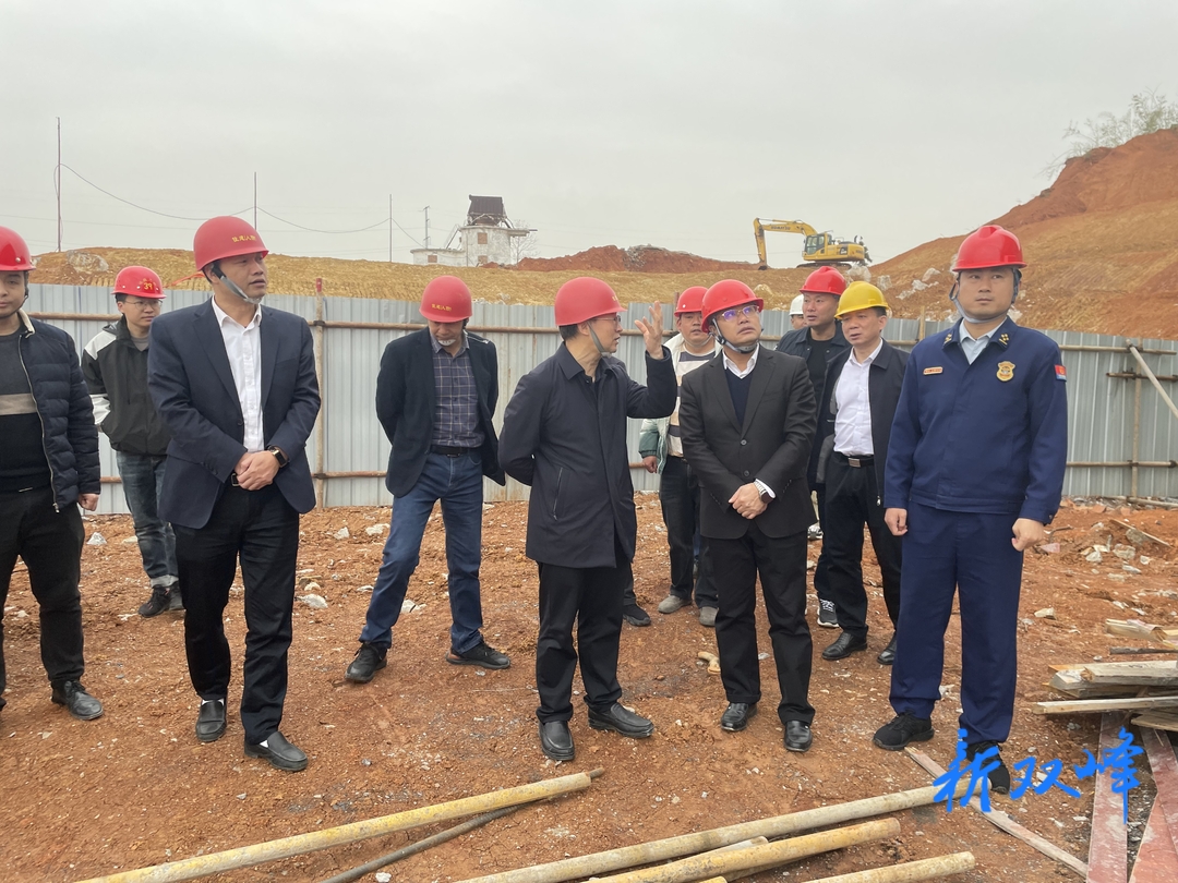 李基联带队到乡镇街道检查安全生产工作