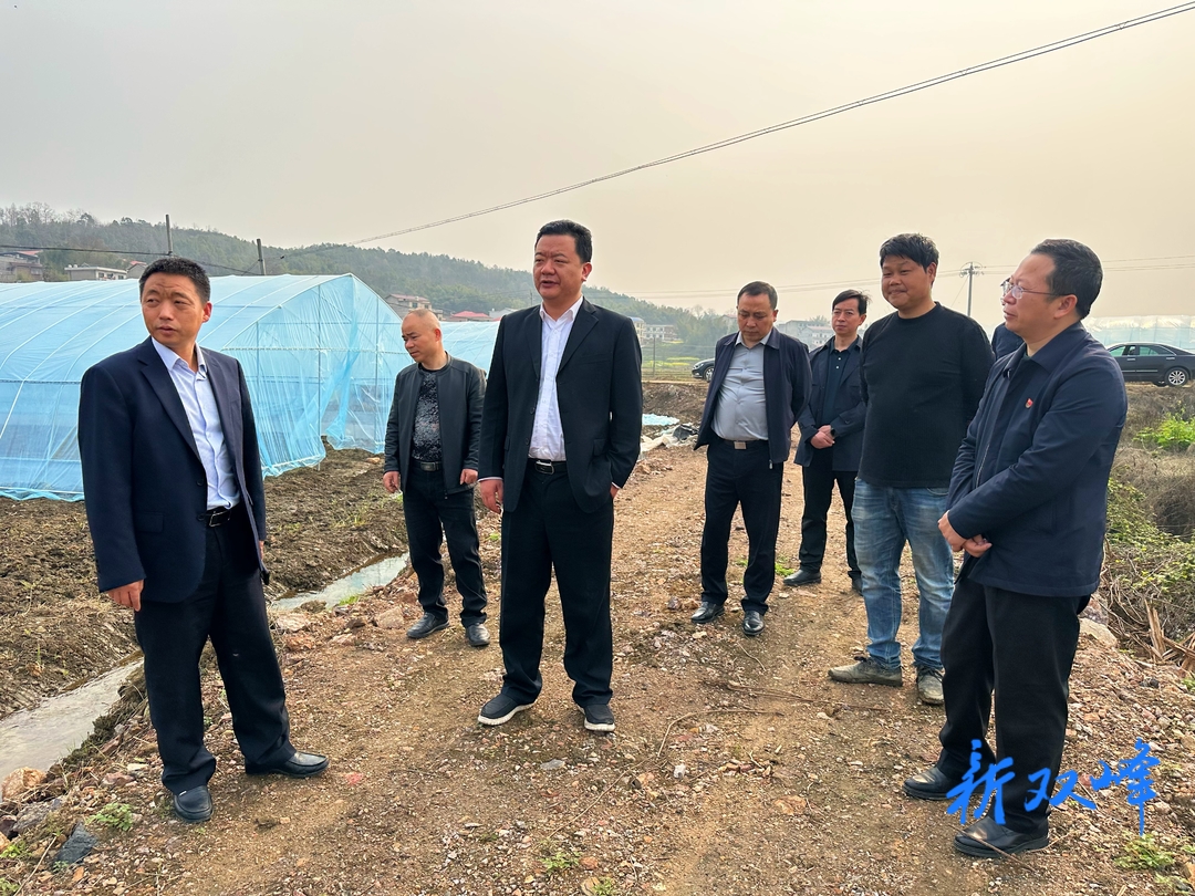 戴志雄到梓门桥镇开展巡河、巡林工作并调研春耕备耕