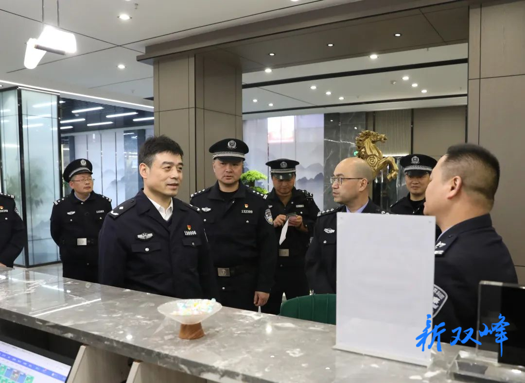 防风险护稳定保安全——双峰县公安局开展清查整治统一行动