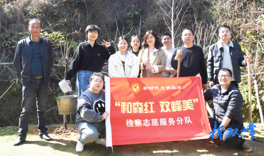 又是一年好春光，双峰检察植树忙
