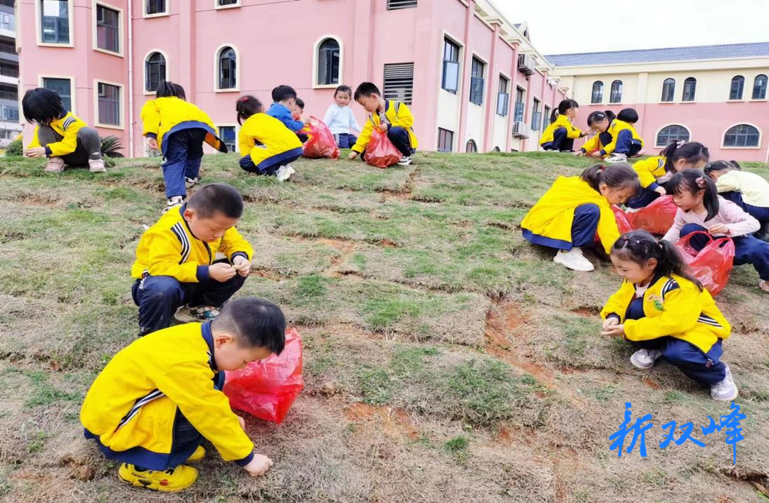 县机关幼儿园开展劳动实践活动