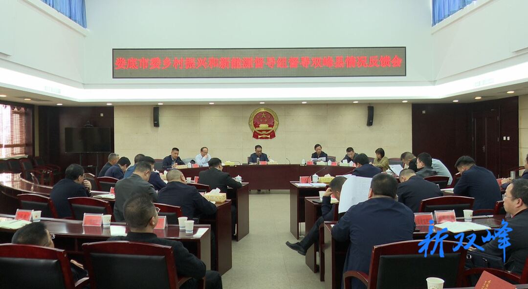 婁底市委鄉村振興和新能源督導組來雙峰開展督導