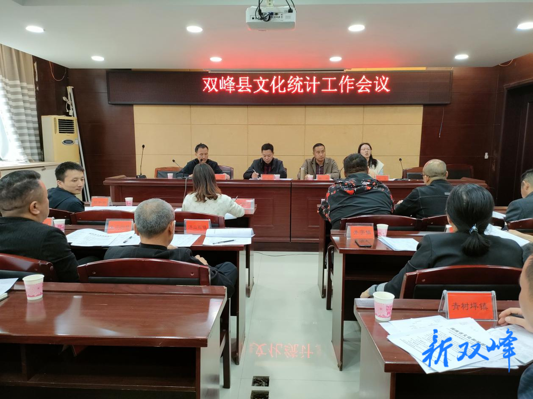 双峰：让文化统计数据会“说话”