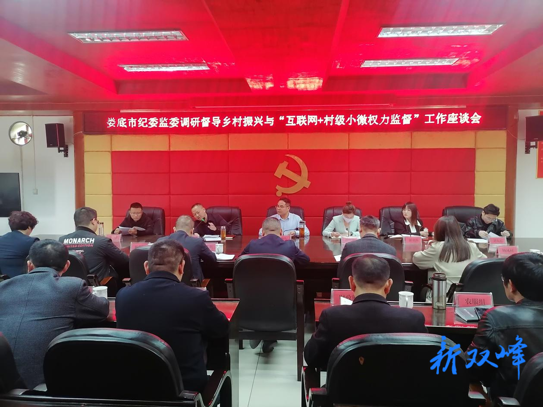 市纪委调研组来甘棠镇调研督导乡村振兴与“互联网+村级小微权力监督”工作