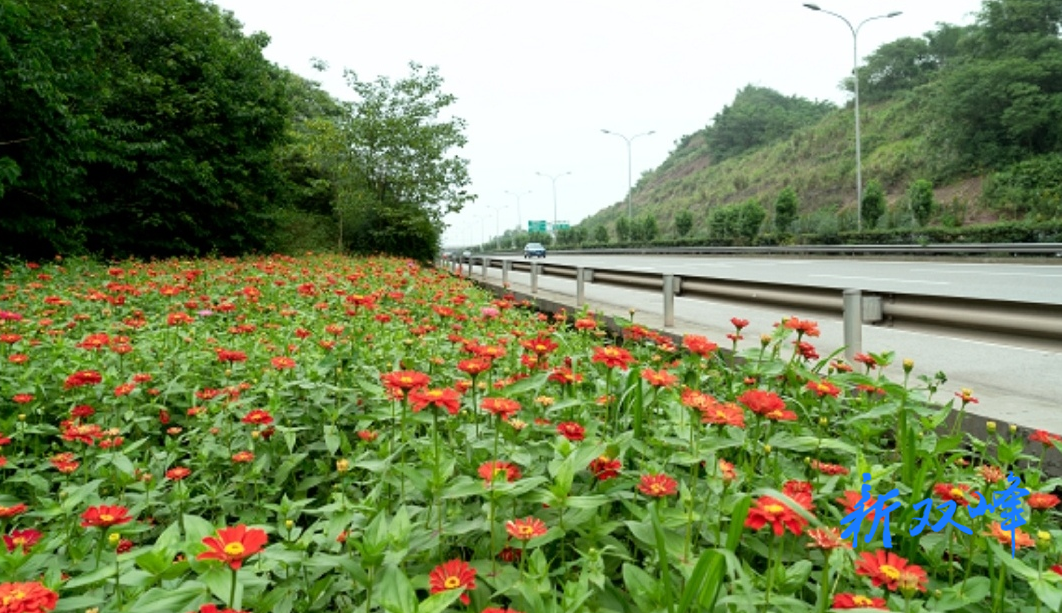 杏子铺镇：美丽屋场扮靓乡村新景