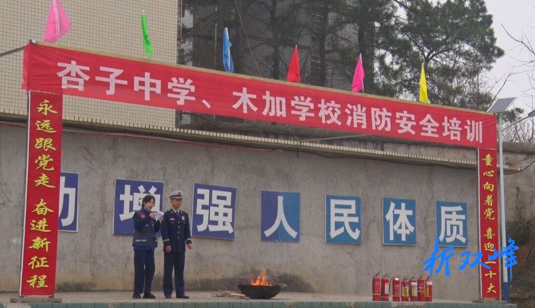 杏子铺镇：消防安全进校园