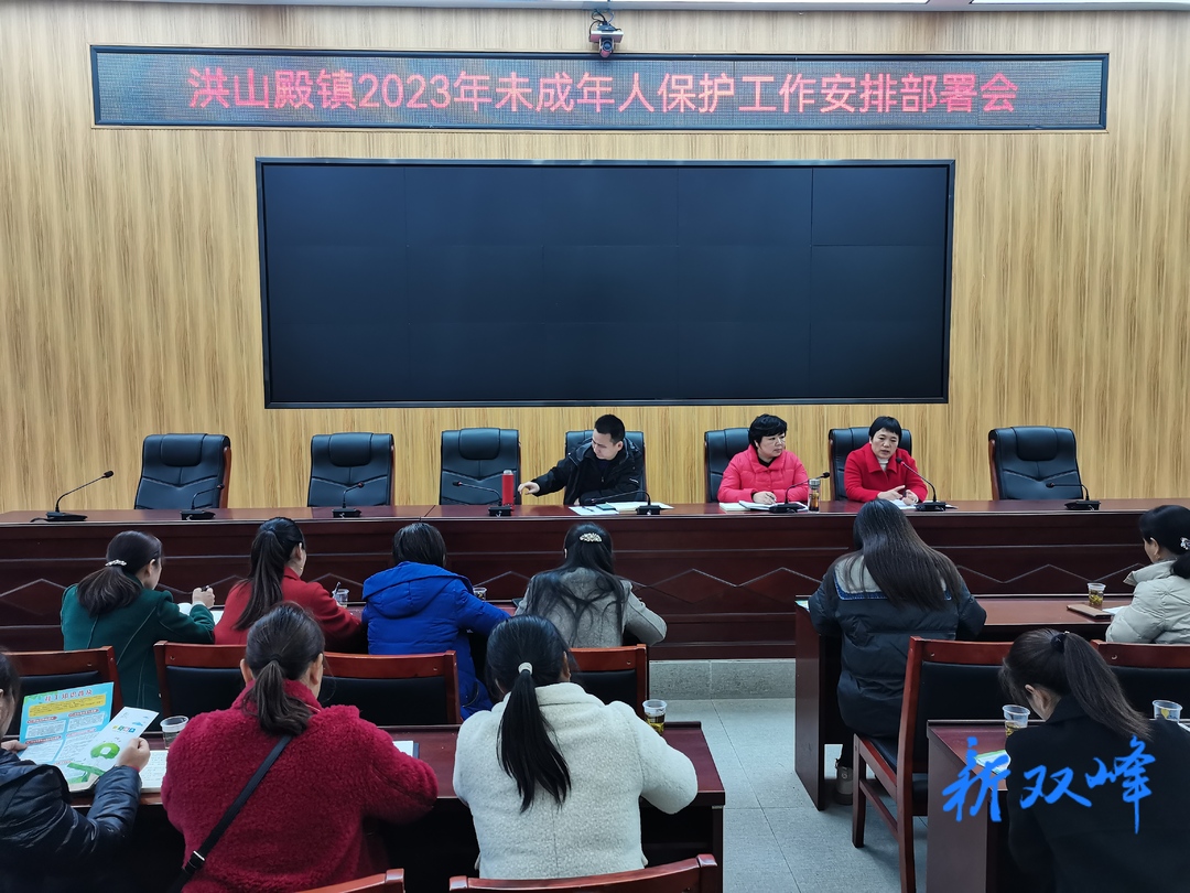 洪山殿镇召开未成年人保护工作会议
