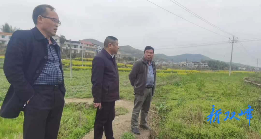 杏子铺镇：控新制旧，坚决守牢耕地保护红线