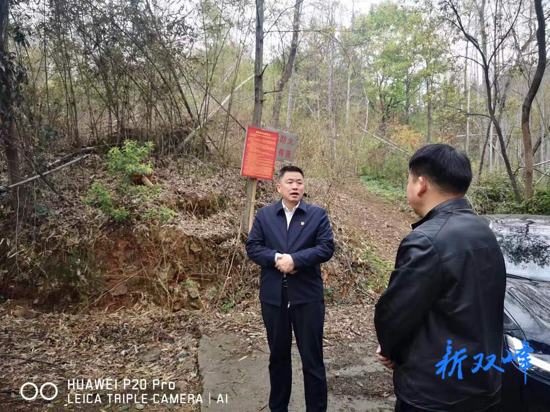 縣領導到印塘鄉開展巡林
