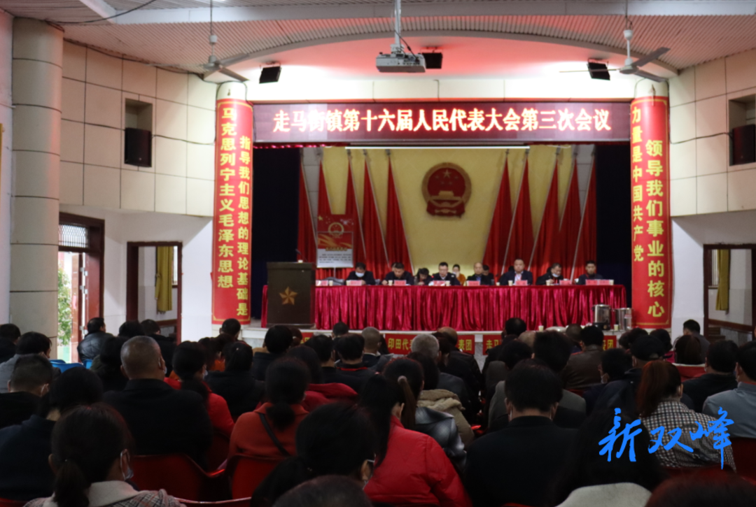 走马街镇召开第十六届人民代表大会第三次会议