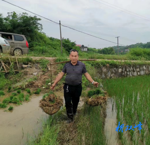 劉科良：心系鄉土，為推進鄉村振興貢獻智慧和力量