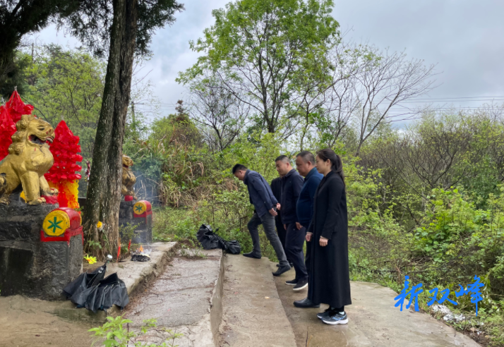 走马街镇：缅怀革命先烈 传承红色基因