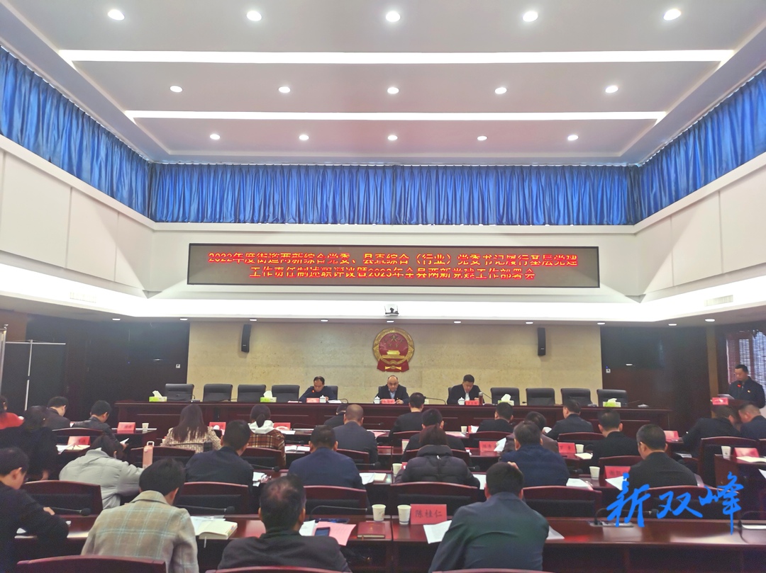 双峰县召开两新组织履行基层党建工作责任制述职评议会