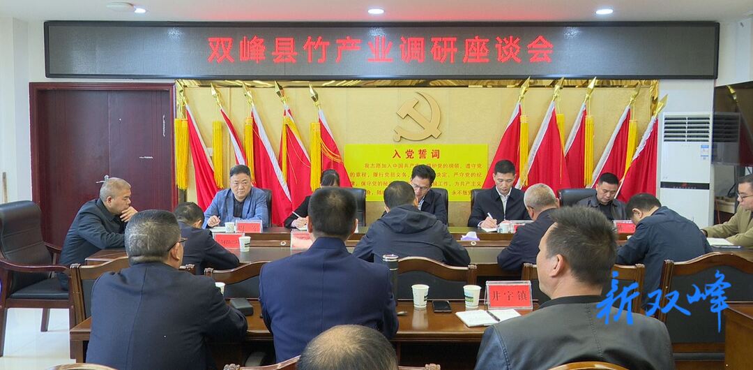 县领导到乡镇调研竹产业发展情况