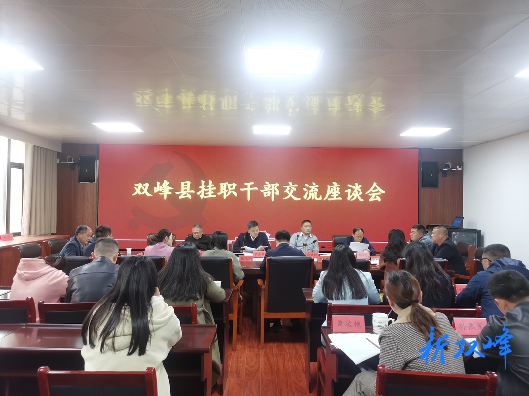 双峰县挂职干部交流座谈会召开