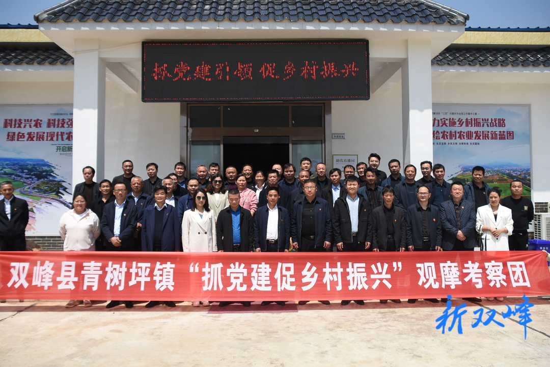 青树坪镇：考察学习拓视野 党建领航促振兴