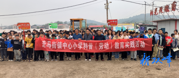 走马街镇：科普教育实践活动走进田间地头