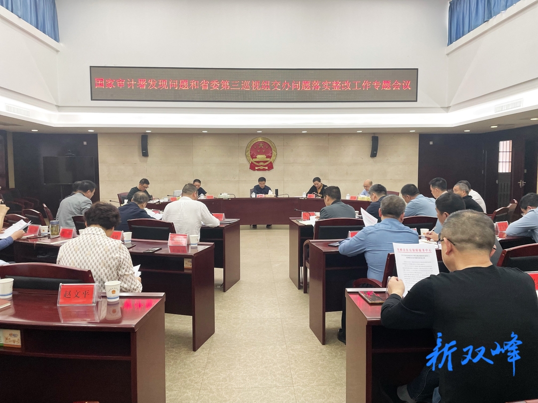 李基联主持召开国家审计署发现问题和省委第三巡视组交办问题落实整改工作专题会议