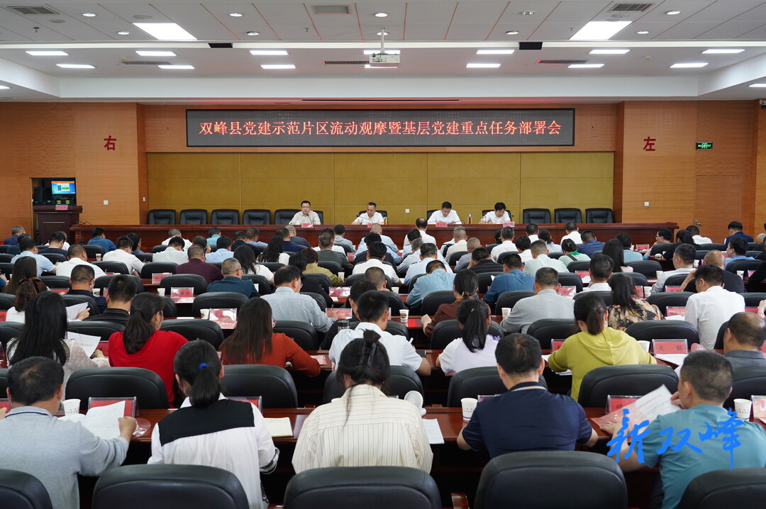 双峰召开党建示范片区流动现场观摩暨基层党建重点任务部署会 彭石清作讲话