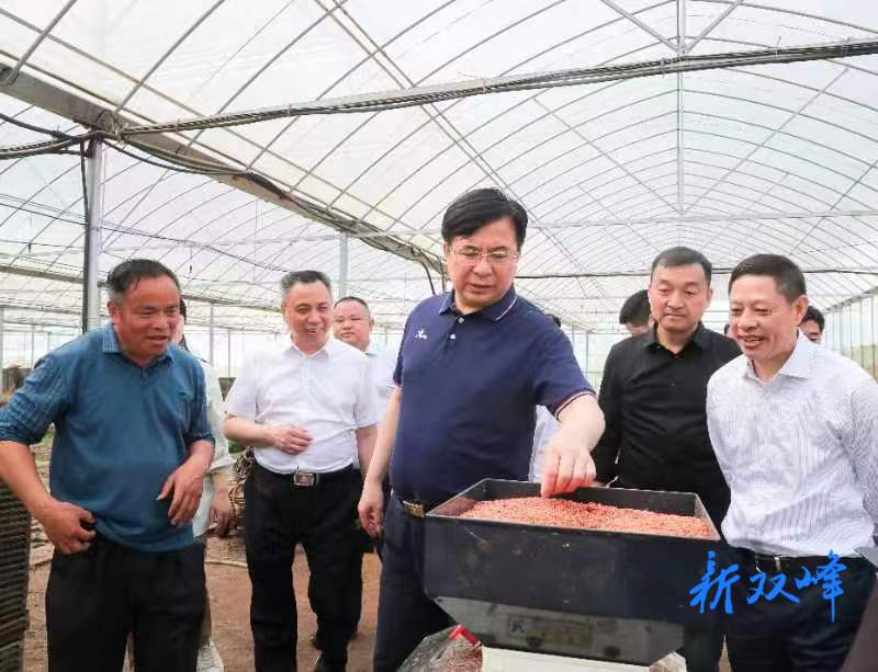 邹文辉来双峰调研春耕生产：抢抓时机 强化保障 牢牢把握全年农业生产主动权