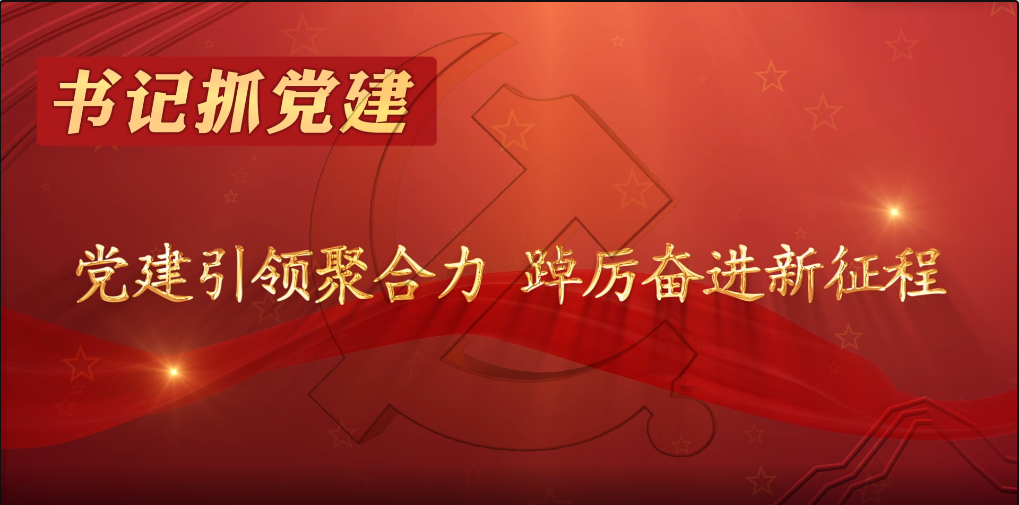 书记抓党建