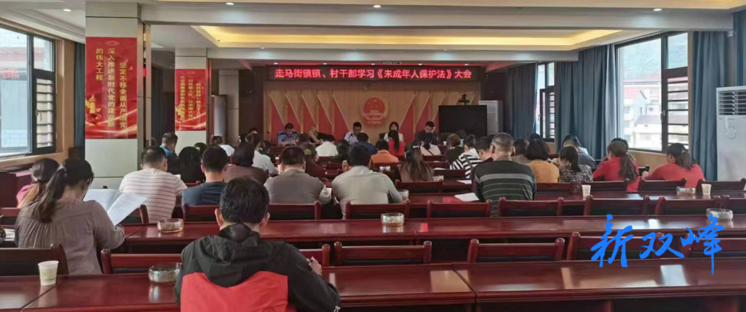 走马街镇组织学习《未成年人保护法》