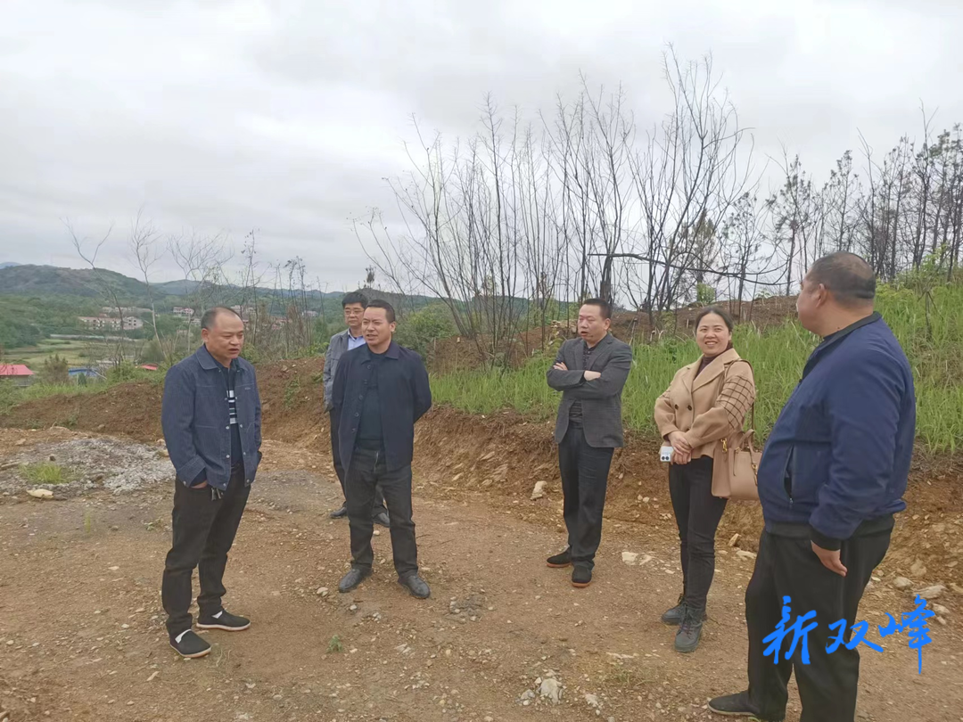 双峰县库区移民事务中心开展移民产业开发调研