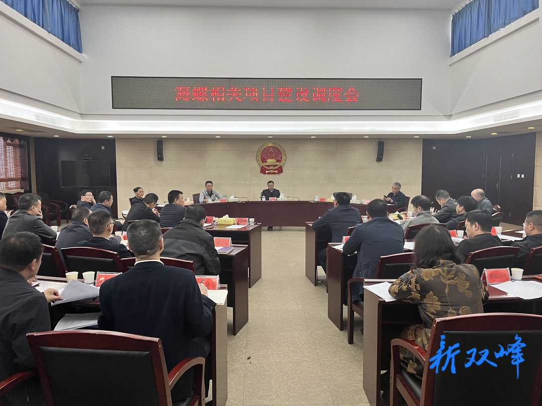 李基联调度海螺相关项目建设：增强主动服务意识  为企业高质量发展营造良好环境