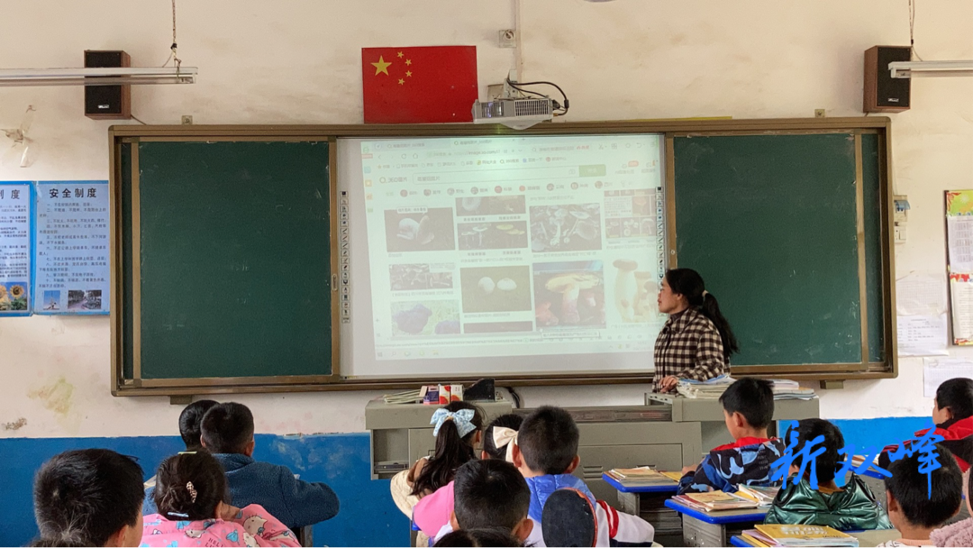 杏子铺镇合塘学校开展“珍爱生命 远离毒蘑菇”宣传活动