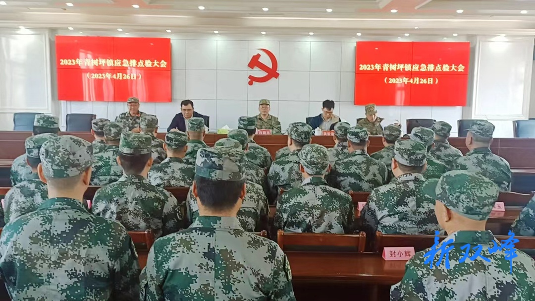 青树坪镇召开应急排点验大会