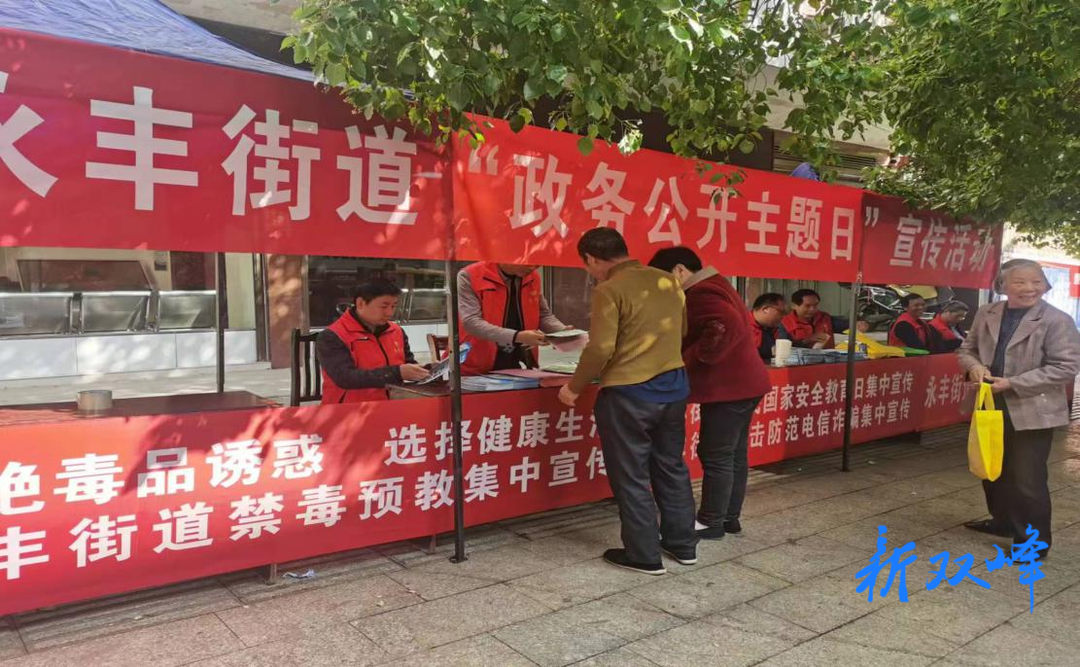 永丰街道：开展“政务公开主题日”宣传活动