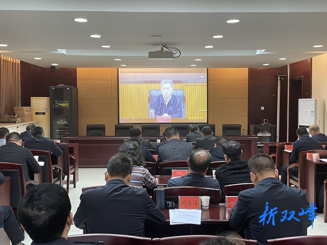 娄底市交通问题顽瘴痼疾整治领导小组成员视频会议召开 李基联等在双峰分会场参加