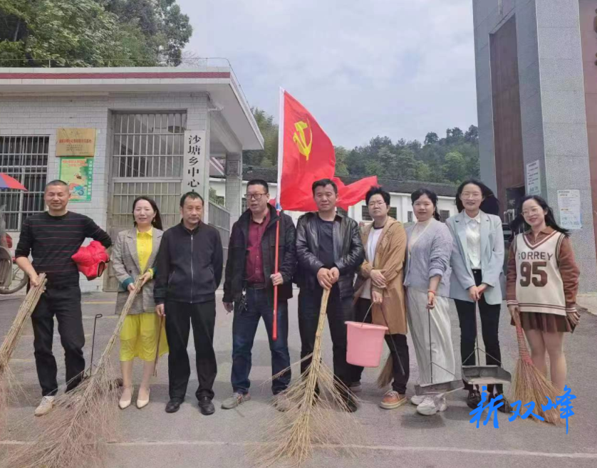 沙塘中心小学党支部开展“卫生大清扫，党员我先行”主题党日活动