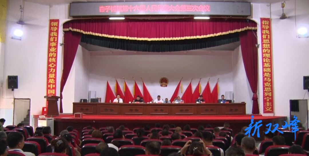 杏子铺镇召开第十六届人民代表大会第三次会议