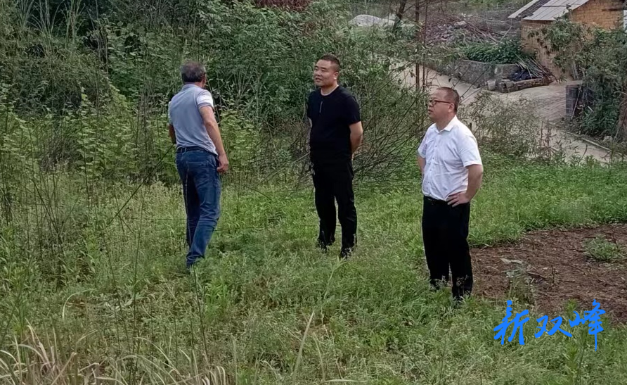 杏子铺镇：严守耕地红线 扎实做好控违治违工作