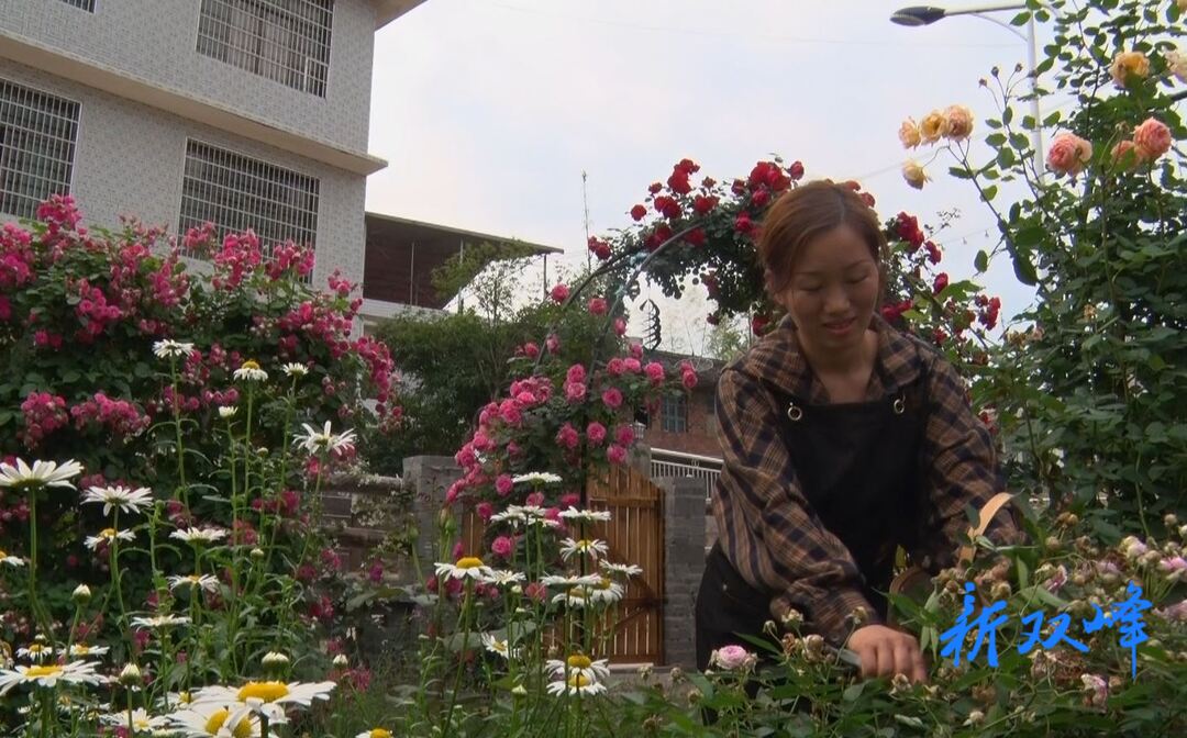 杏子铺镇：村民筑造美丽庭院