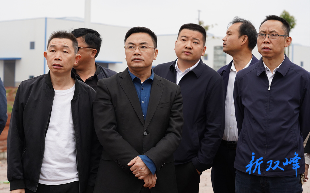 李基联调度重点项目建设要素保障工作