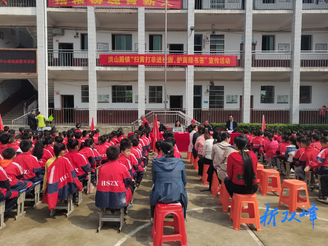 洪山殿镇开展“法制宣传进校园，护苗绿书签”宣传活动