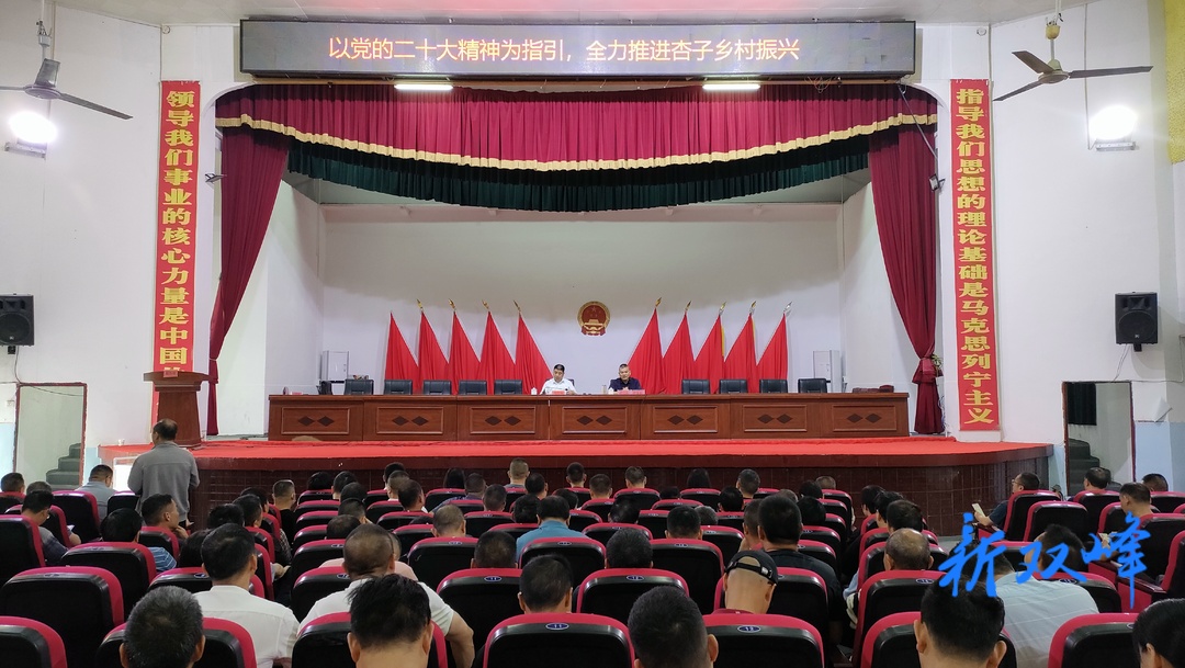 杏子铺镇：持续学习党的二十大精神，全力推进乡村振兴
