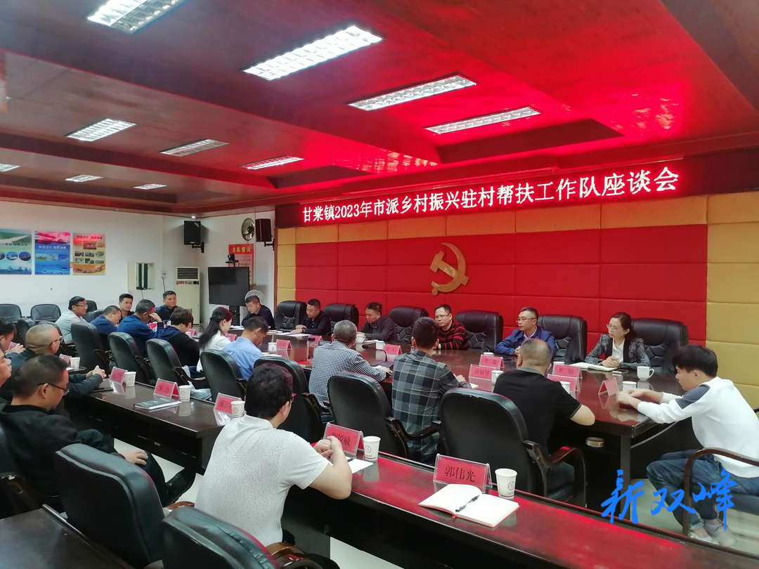 甘棠镇召开娄底市派乡村振兴驻村帮扶工作队座谈会