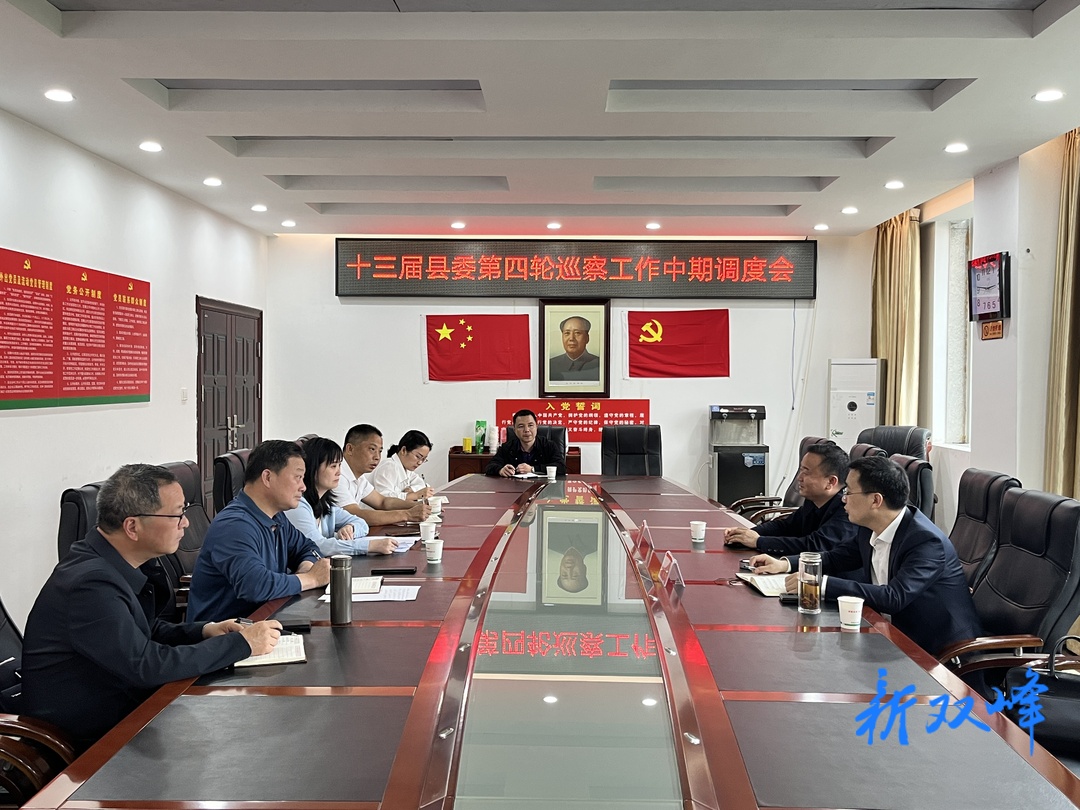 县领导赴县卫健局、梓门桥镇开展巡察中期调度指导